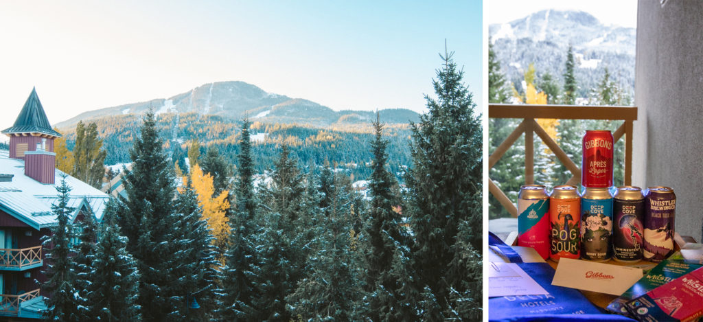Delta Whistler Village Suites