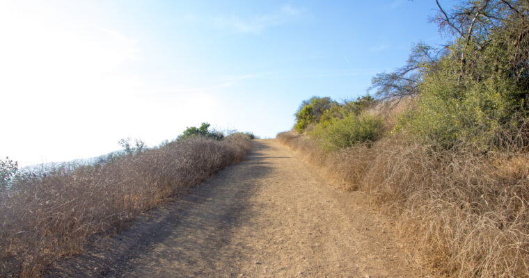 Do You Have Trail Etiquette?