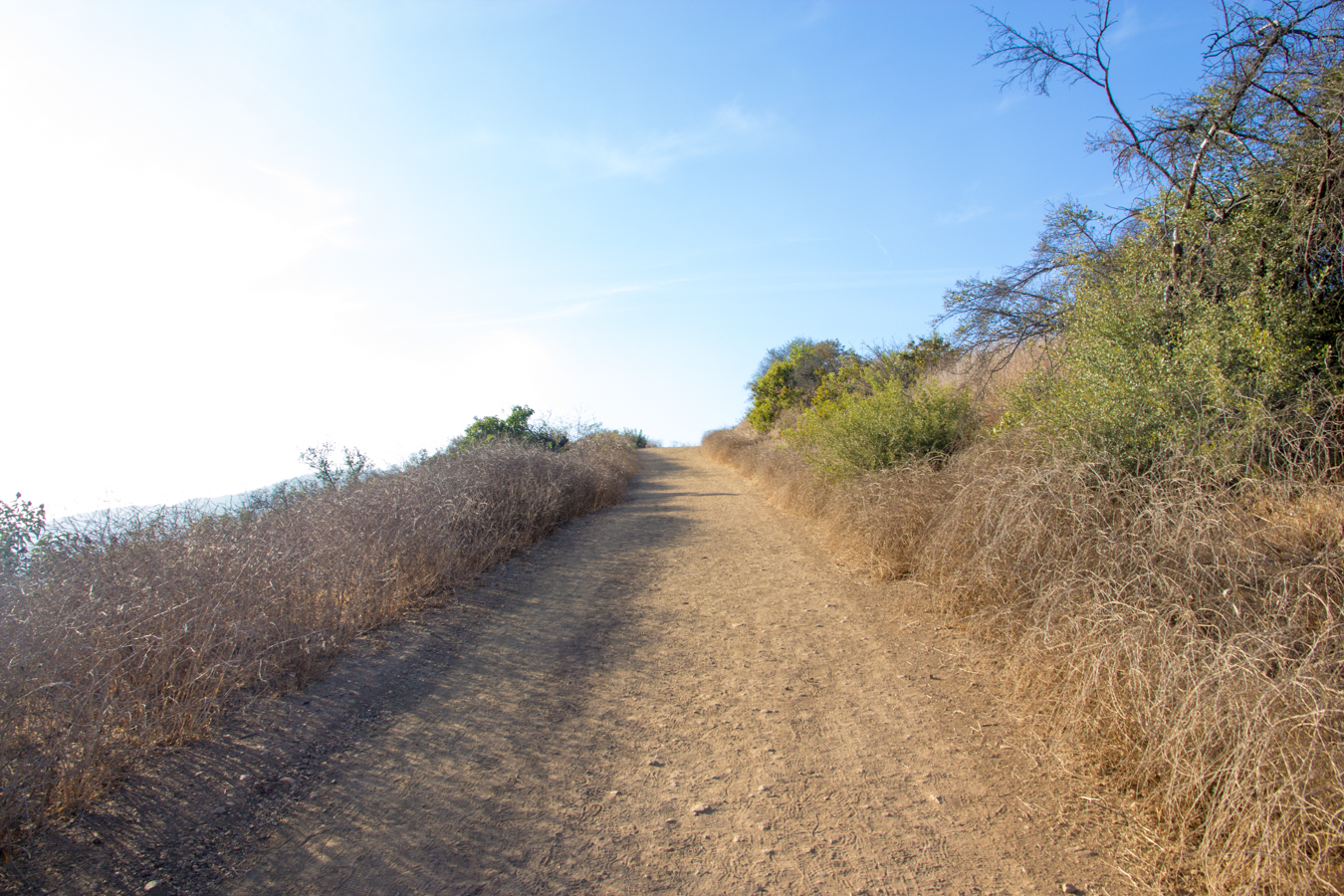 Do You Have Trail Etiquette?